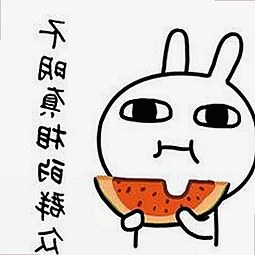 全面解析：茄子视频官方版下载的现状与选择