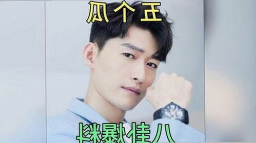 探索蜜芽直播：从官方版本到最新下载信息分析