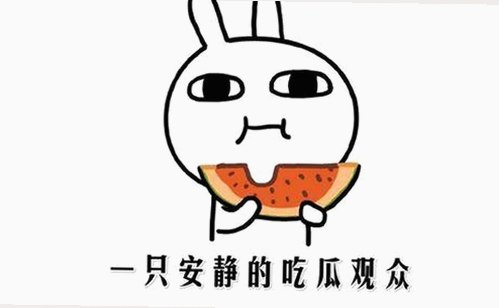 刘宇宁揭秘高清乱码🔞❌♋免费：最新观看体验指南