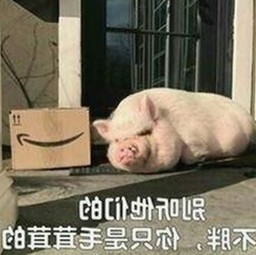 从热潮到稳定：7777免费版带来的新体验