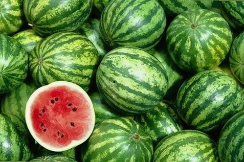 最新破解方案：樱花视频安装包下载助你畅享高清影视内容