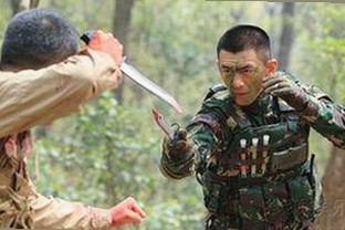 浅析最新的手机看片官方版内容与发展趋势