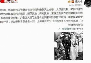 淮南市用户热衷体验：菠萝视频免费版官方版满足多样在线观看需求