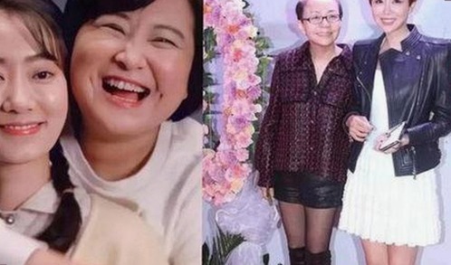 刘宇宁关注度飙升，91香蕉免费版下载成为焦点