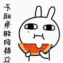 最新17c在线观看官方版正版下载，畅享高清资源
