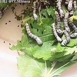 YELLOW片在线观看免费高清：体验高清影视的多元选择