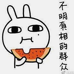 朝阳市用户热议：9+1视频免费官方版成新宠
