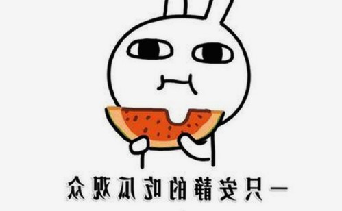 渭南市用户热议：小🐔🐔伸进🈲18网站免费版的最新体验与变化