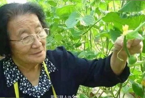 探索高清🈚码🔞❌♋免费17c：潮州市最新资源与下载指南