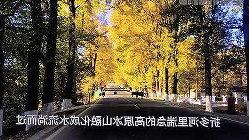 《乱公伦媳》免费免费版官方版：探索最新影视与资源推荐