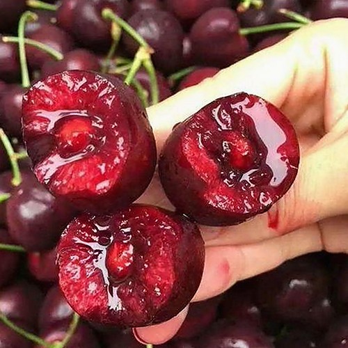 探索ww我的快乐在哪里:36的最新动态与体验指南