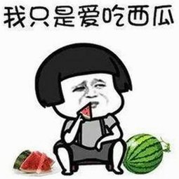 探秘蘑菇视频官方版：最新内容与下载指南