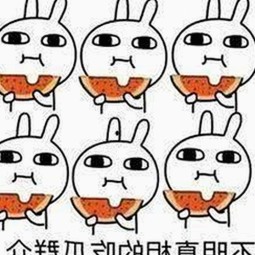 桃花视频安装包下载指南及最新版本介绍