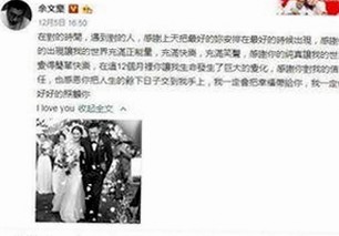 揭秘樱花视频官方版在泉州市的现状与发展