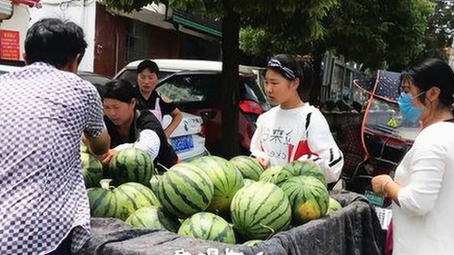 从绥化市的视角看爱妻官方百度视官方版下载的变化与影响