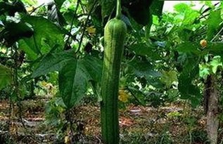 18❌❌❌有直套免费版官方版：黄冈市用户热议的最新版本