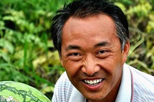 红桃影院免费观看电视剧电视剧高清官方版：最新在线观看体验解析
