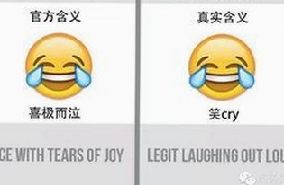 探索北京用户的首选：91香蕉最新版下载的最新动态