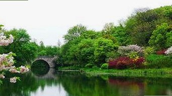 珠海市用户如何实现免费看mv大片的最新途径