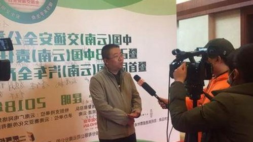 全面解析17c在线观看官方版正版下载：现状与发展趋势