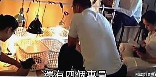 已满十八岁电视剧完整版官方版免费版：成人剧情的最新选择