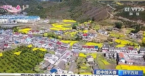 麻豆视频在线播放官方版：体验最全的高清影视乐趣