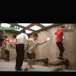 齐齐哈尔市用户关注：免费黄色官方版下载的最新动态