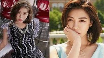 关于蘑菇视频免费版的详细介绍与内容解析
