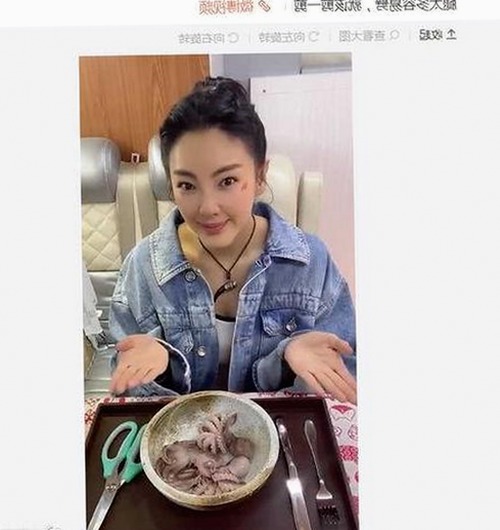 最新红桃视频安装包下载指南：便捷获取高清资源