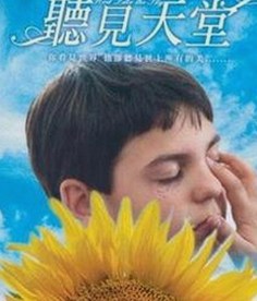 免费看mv大片的app免费版官方版：轻松享受高清音乐与影片
