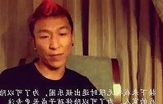 www91与免费版：轻松获取资源的实用选择