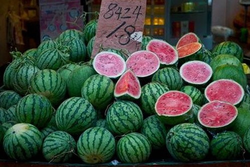 珠海市用户关注：日批视频官方版免费版的最新动态