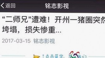 黑料 官网免费版：福州市最新动态与分析