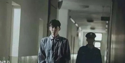 探索大连市的菠萝视频免费版官方版：安全与便捷并存