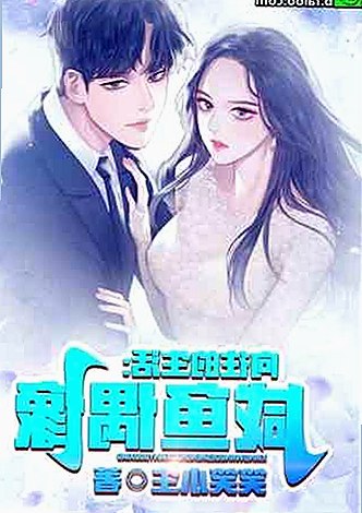 深入了解 www.384888.com网站历史记录查询：保障隐私的利器