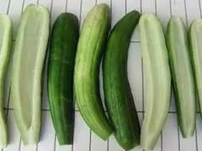 《乱公伦媳》欧美免费版引发热议：自贡市观众的关注点