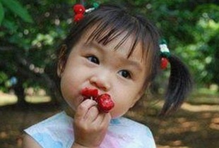 如何便捷获取麻豆视频在线观看官方版正版下载，畅享优质内容