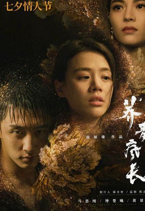 高清乱码🔞❌♋毛片官方版最新动态：引发广泛关注的现状分析