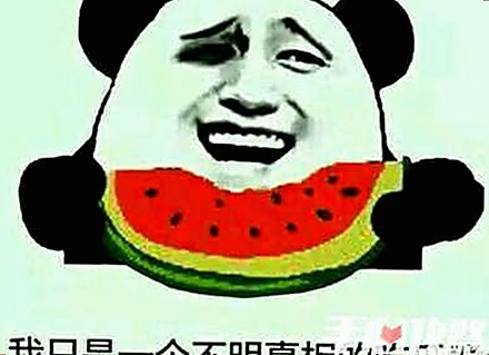 最新情况：手机看片官方版现已稳定提供多平台观看体验