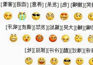 景德镇市居民体验免费黄色最新版下载的变化与反思