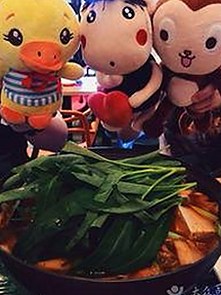 桃花视频官方版免费版：探索中国本土声音的全新体验