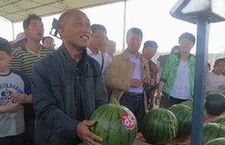 红桃视频：探索中国影视新潮流的精彩平台