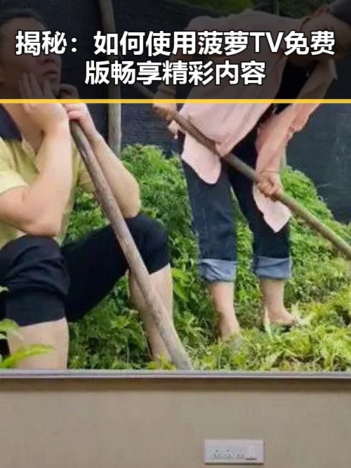 揭秘：如何使用菠萝TV免费版畅享精彩内容