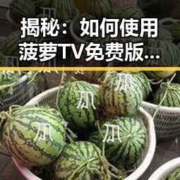 揭秘：如何使用菠萝TV免费版畅享精彩内容