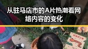 从驻马店市的A片热潮看网络内容的变化
