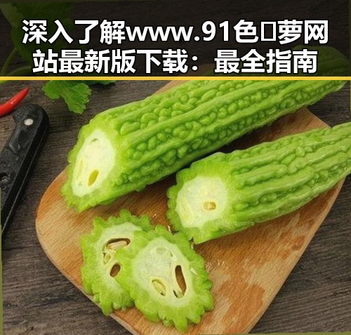 深入了解 www.91色😍萝网站最新版下载:最全指南