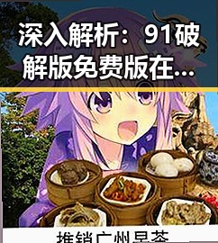深入解析：91破解版免费版在菏泽市的应用与发展