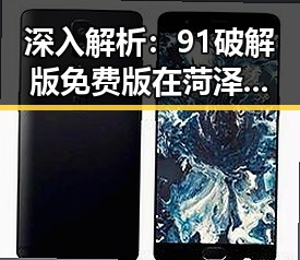 深入解析：91破解版免费版在菏泽市的应用与发展
