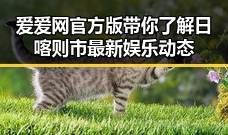 爱爱网官方版带你了解日喀则市最新娱乐动态