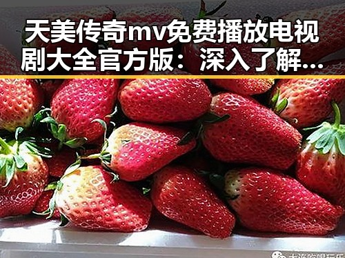 天美传奇mv免费播放电视剧大全官方版:深入了解人物变迁与剧情亮点